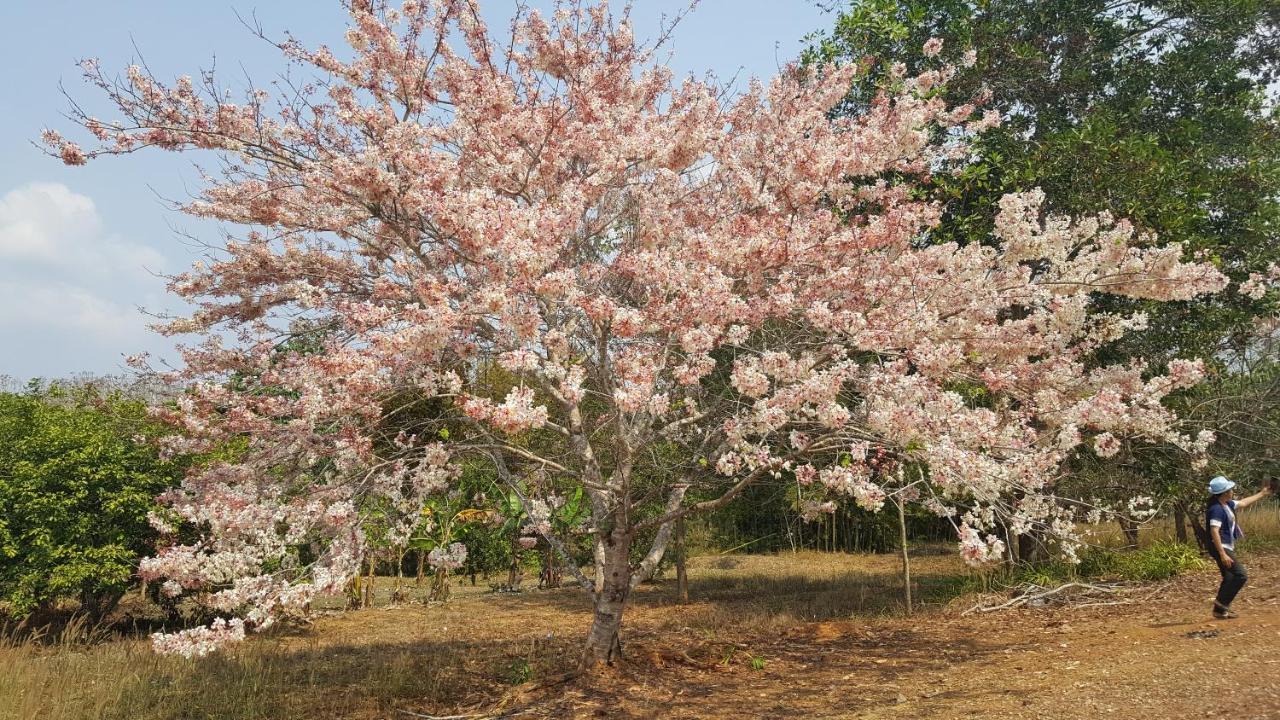 Tarahill Khao Kho Hotel Luaran gambar